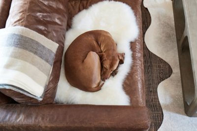 Single-Pelt (2' x 3.5')  Australian Sheepskin Rug