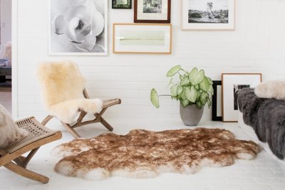 4-Pelt (4' x 6') Australian Sheepskin Area Rug